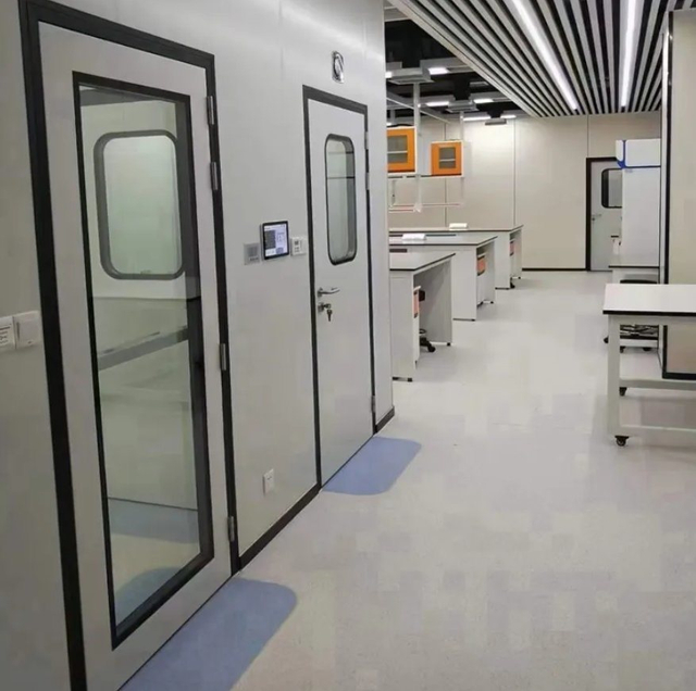 GMP Standard Fireproof Single Swing Door Steel Modular Clean Room Door