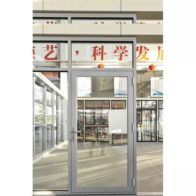 Double Front Entry Doors with Windows French Main Modern Steel Door Design