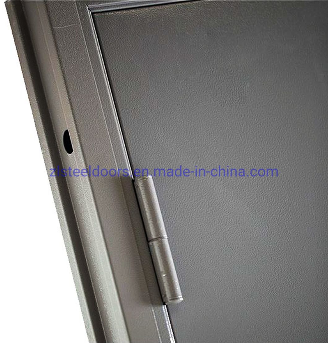 Customized Prefabricated Building Doors Steel Doors Security Doors for Modular House