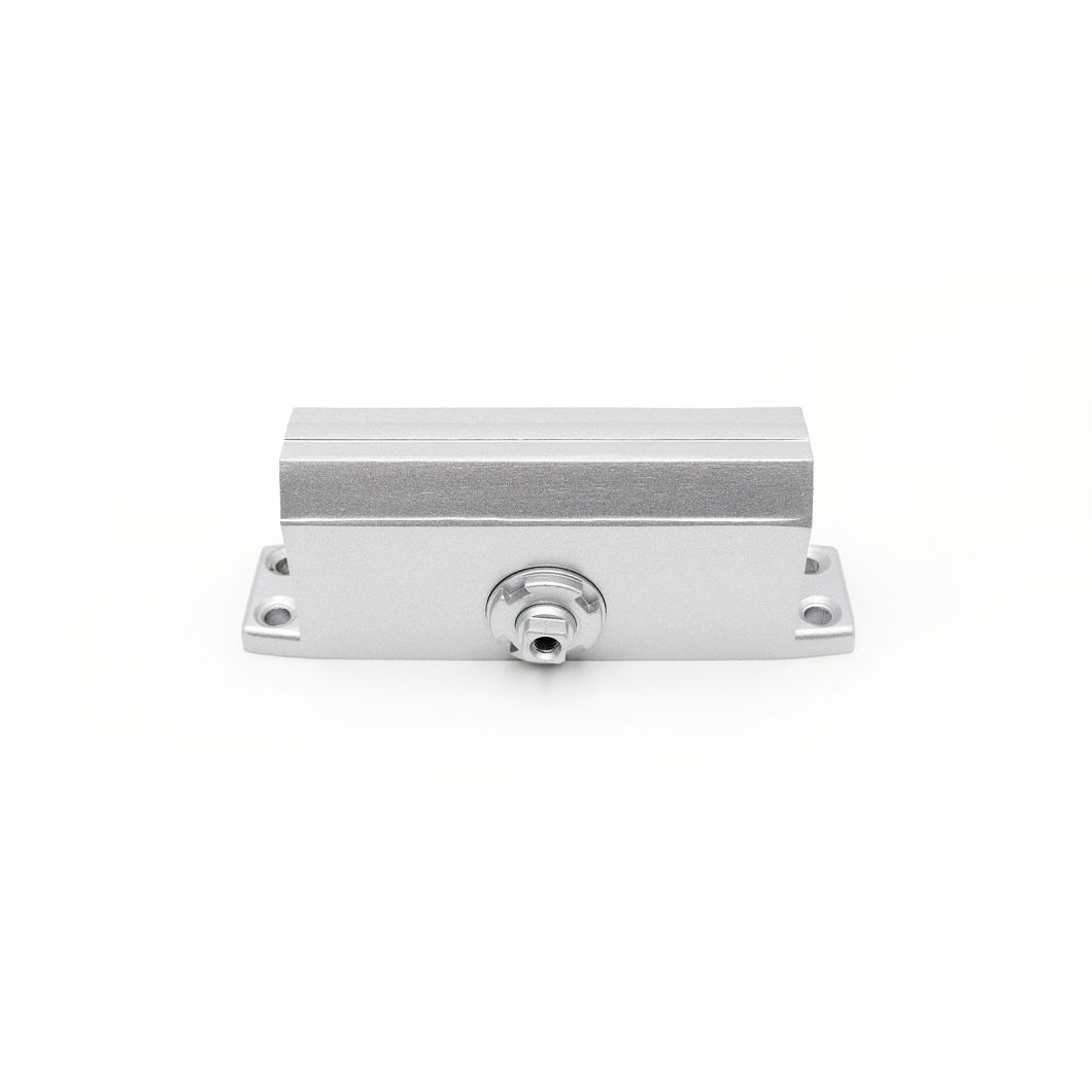 Aluminum Hydraulic Heavy Duty Automatic Door Closer Basic Customization