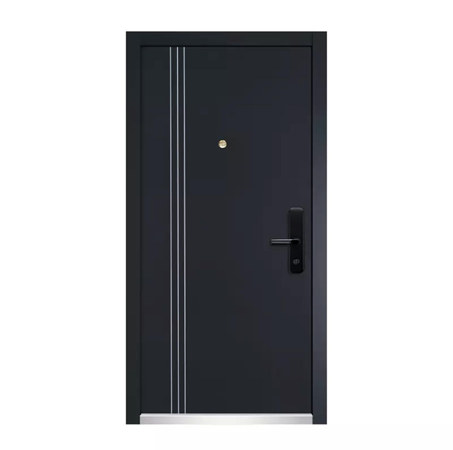 Custom High Quality Steel Door and Security Armored Doors for Sale